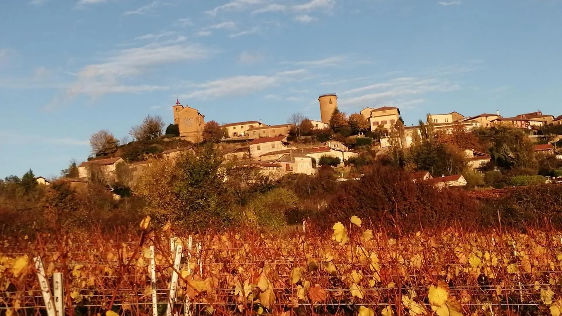 Gite De L'Oursonniere Saint-Laurent-d'Oingt